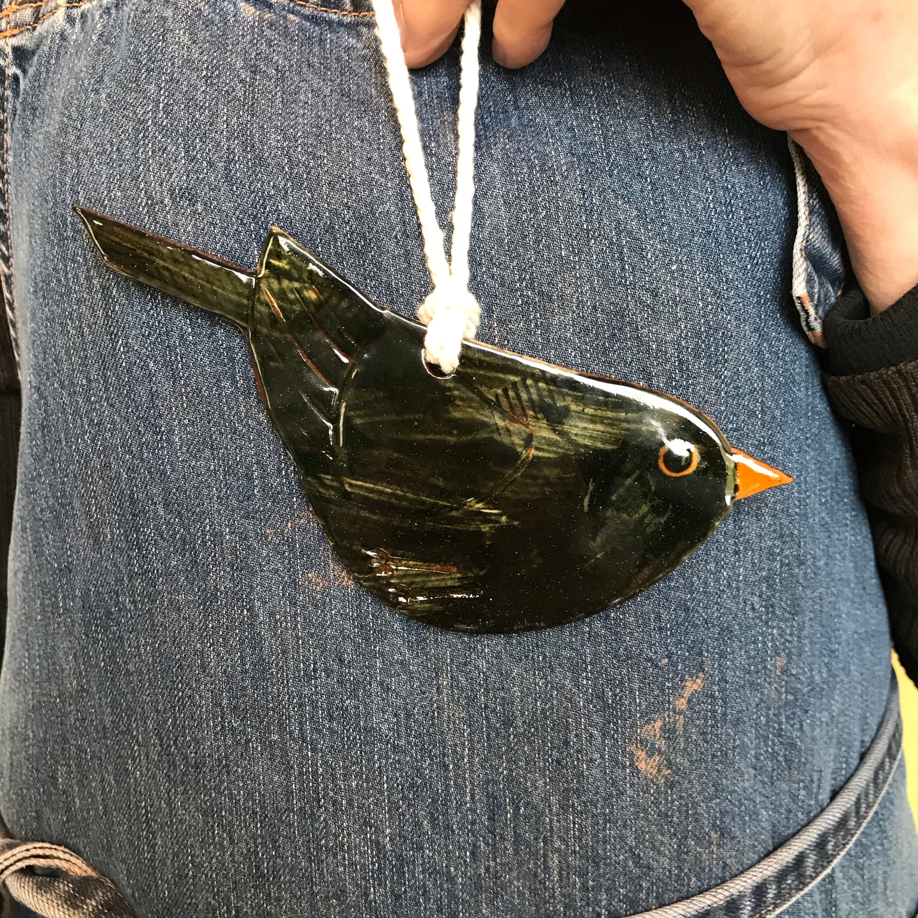 Glossy Black Bird