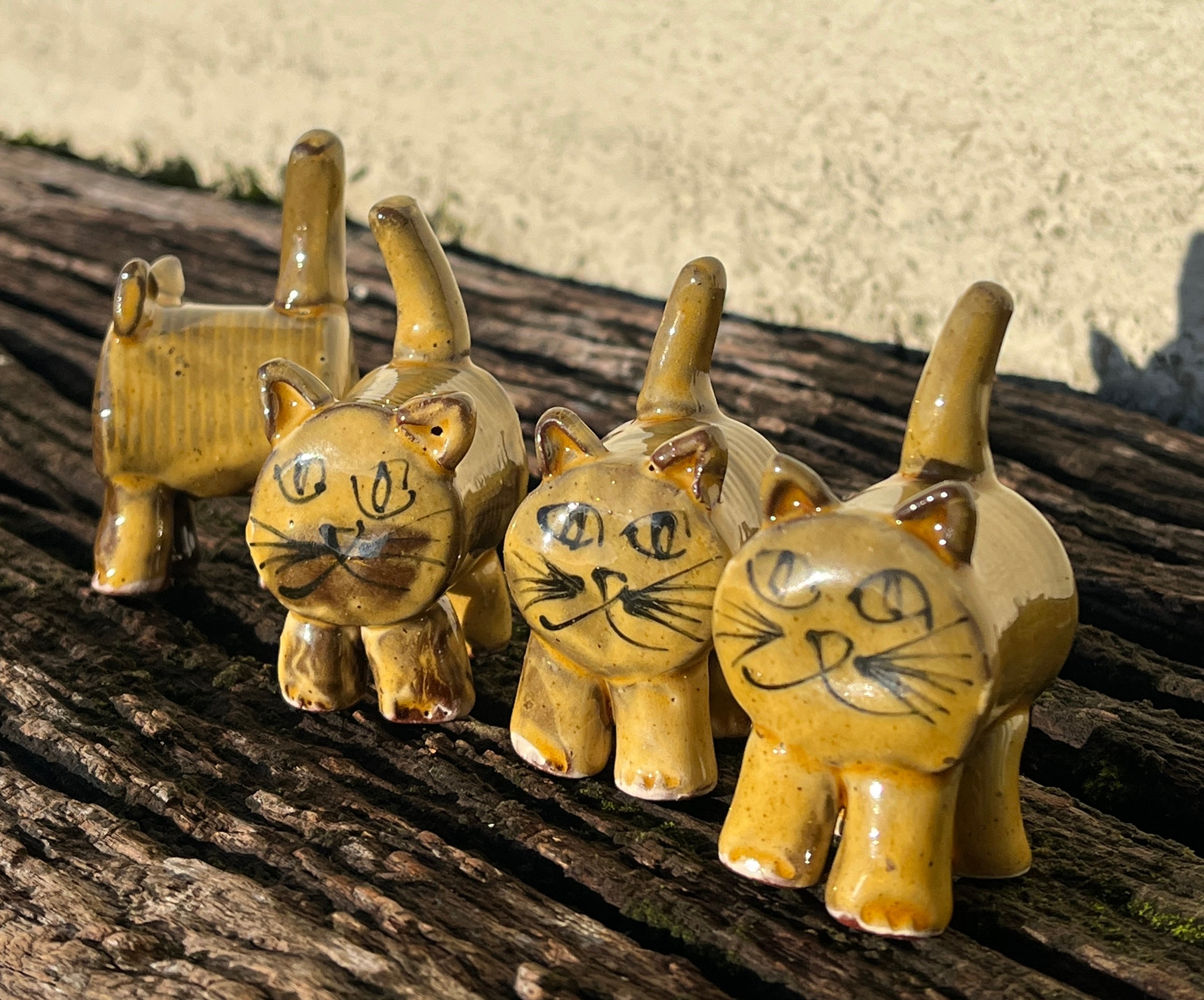 Pair of Cats