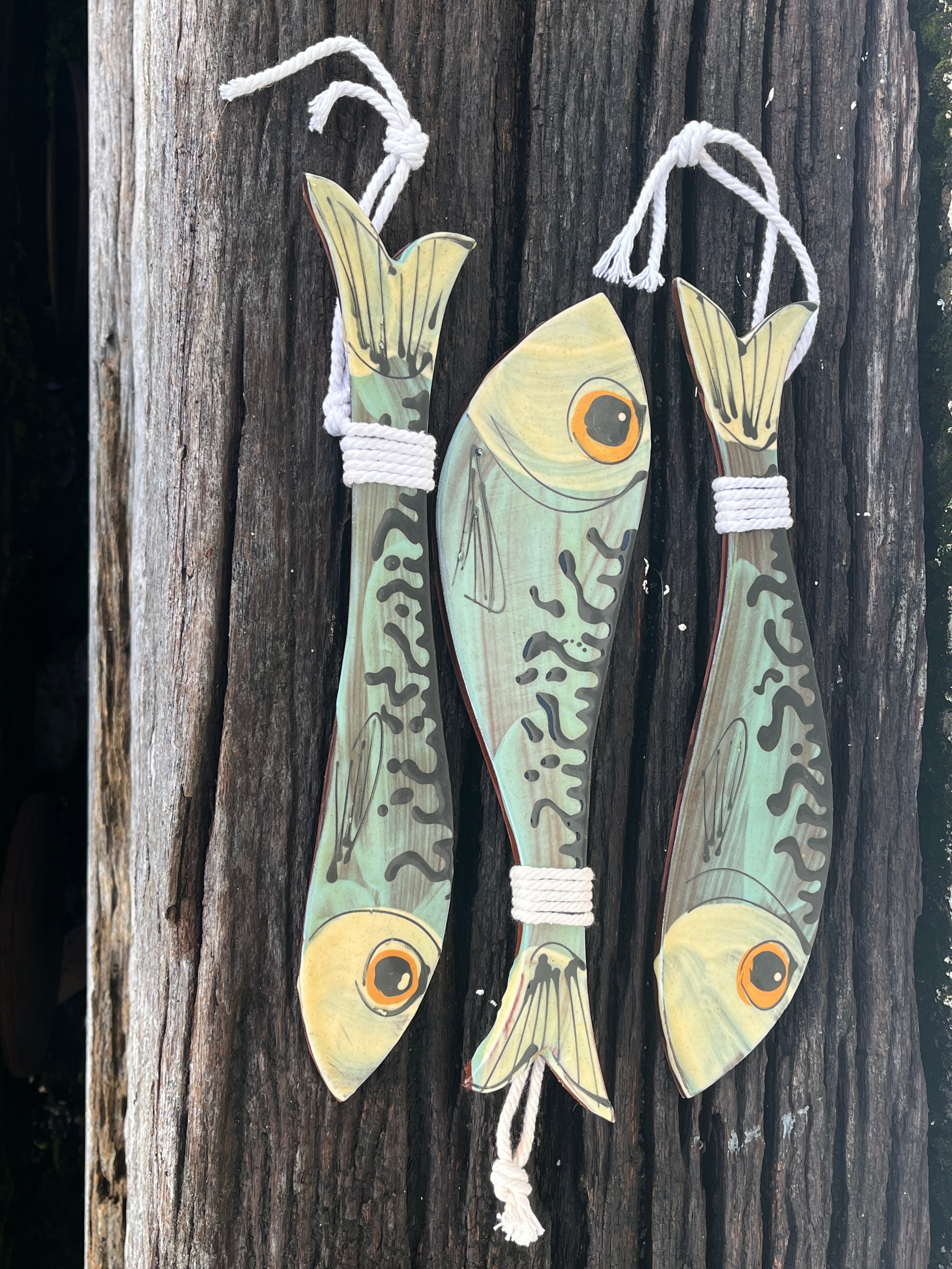 Hanging Mackerel