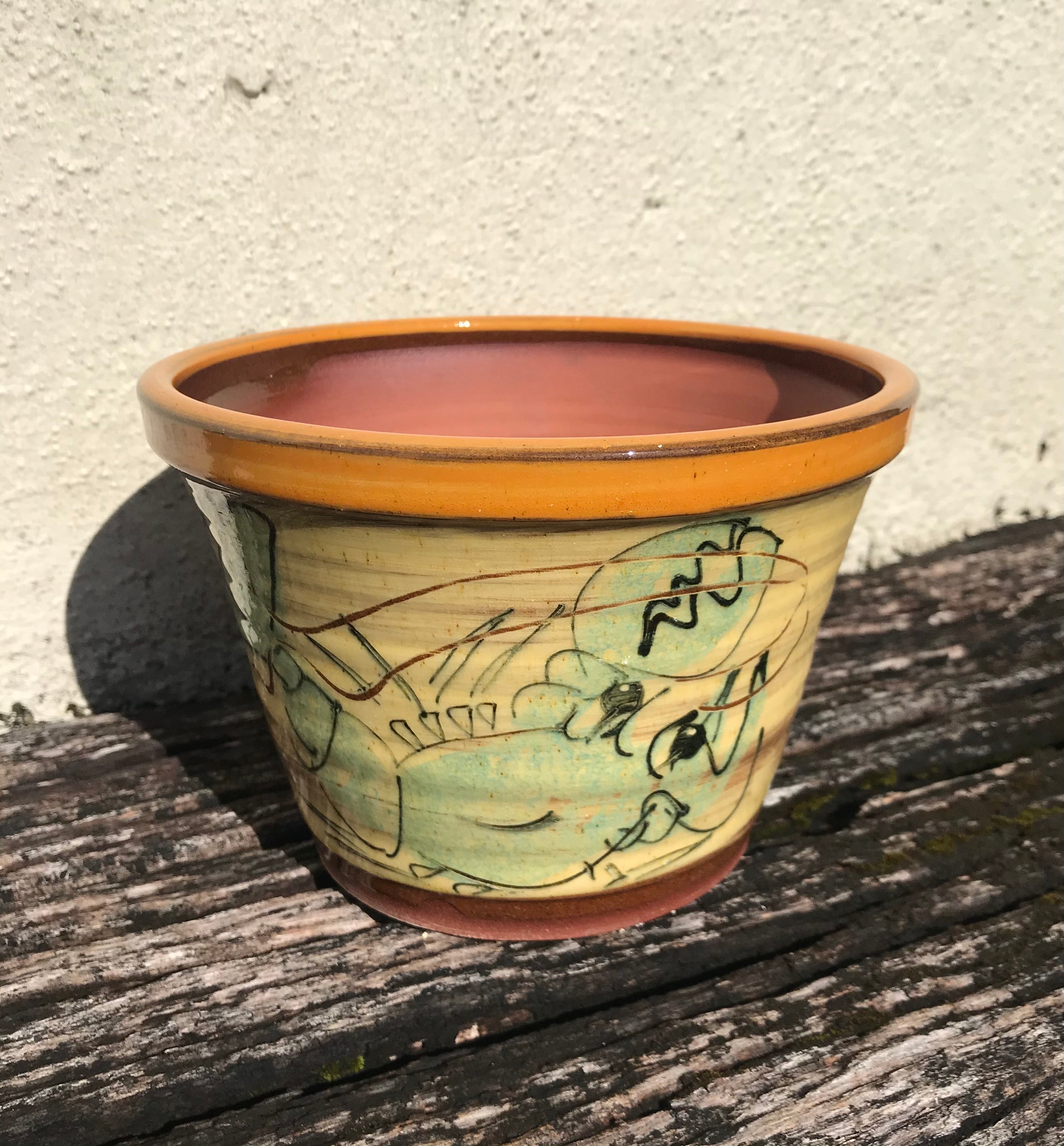 Lobster Plant Pot
