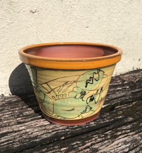 Lobster Plant Pot