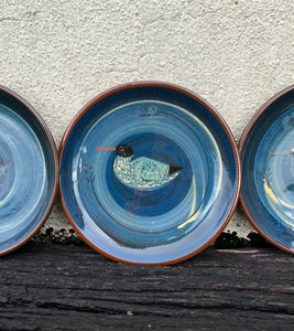 Black-headed Gull Plate