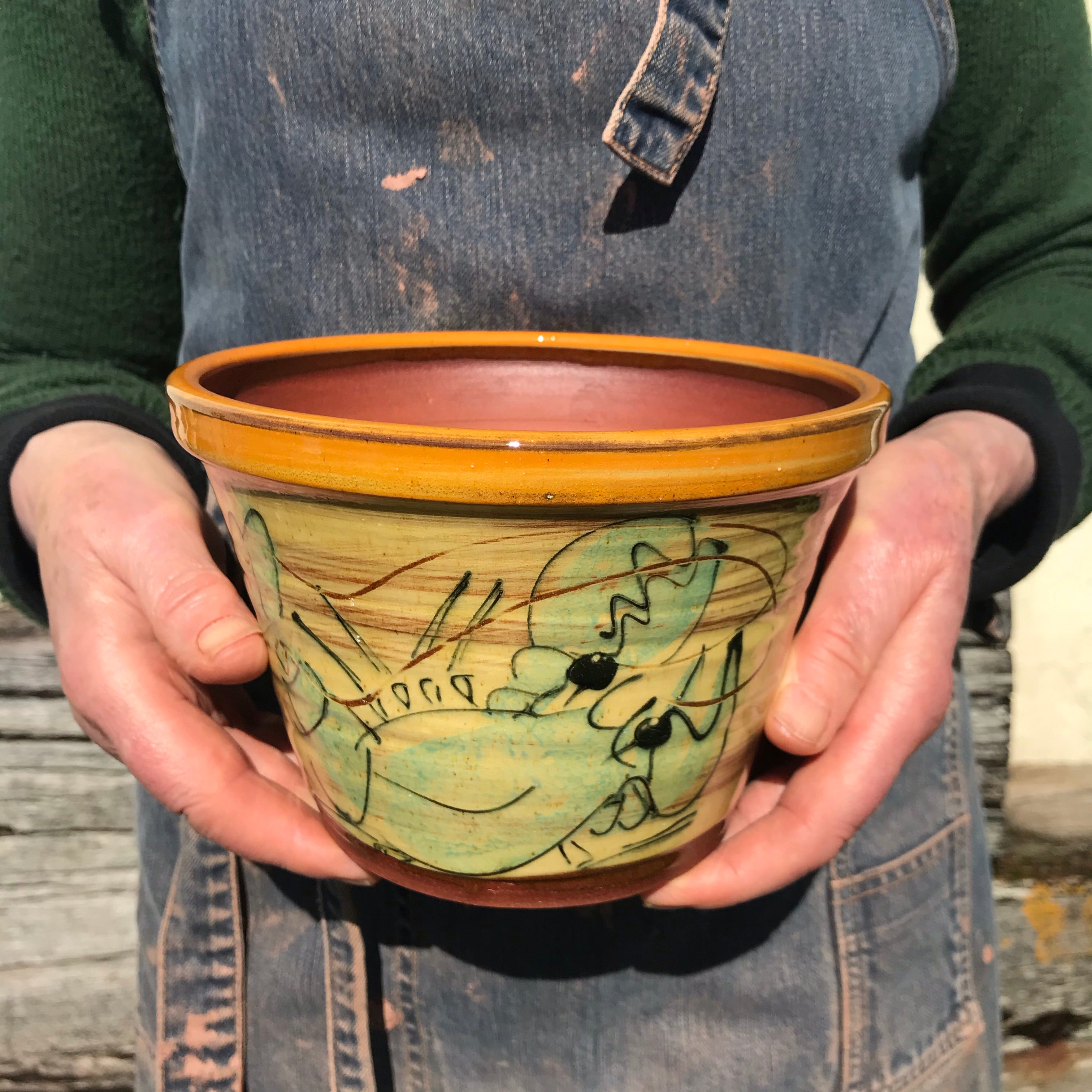 Lobster Plant Pot