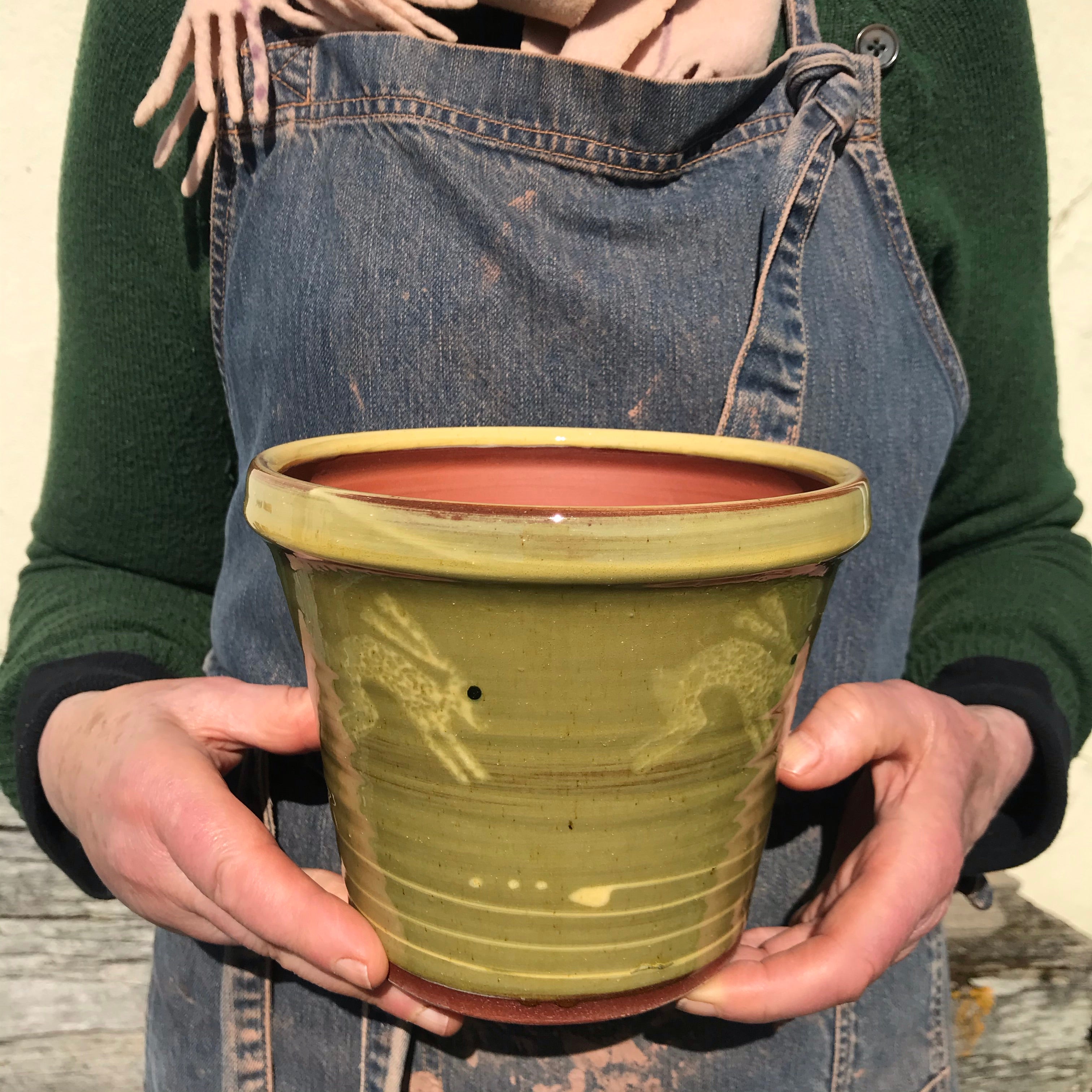 Pale Green Hare Plant Pot